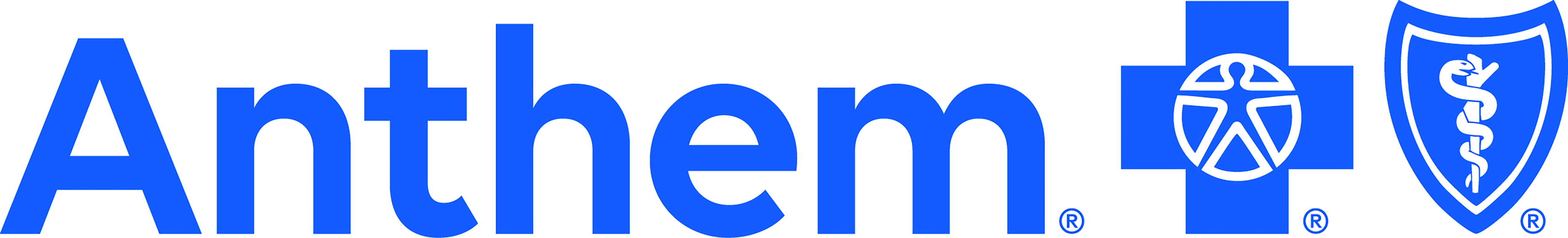 2025 Conference Sponsor